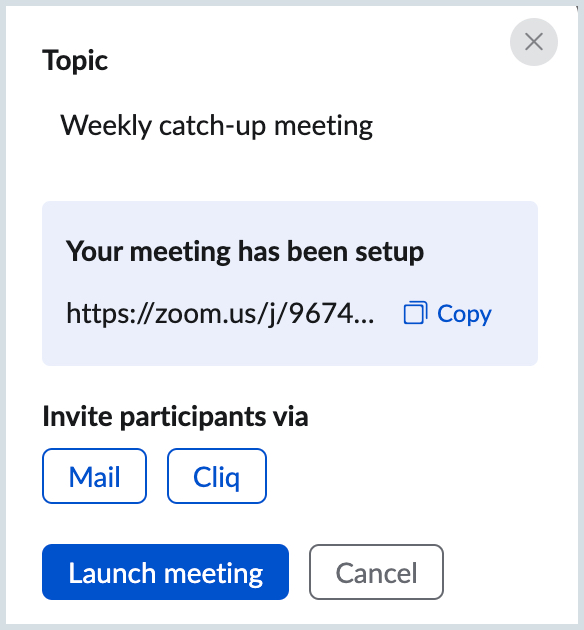 Launch meeting