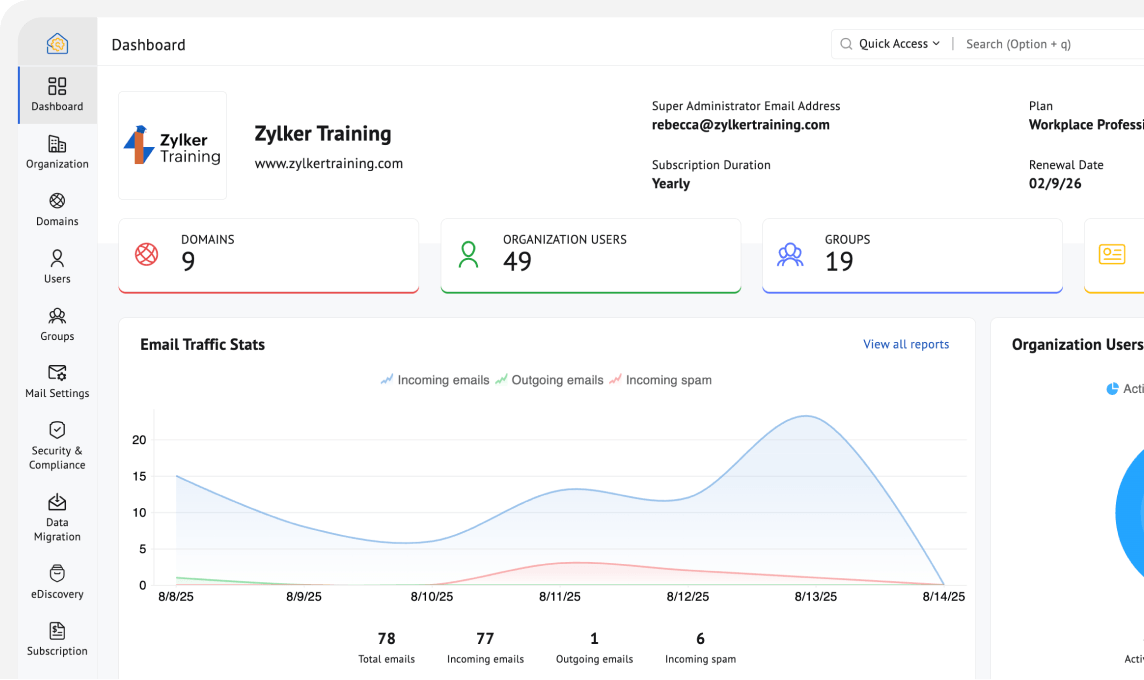 Custom domain email interface