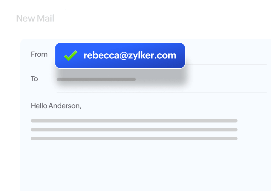 Custom domain email interface