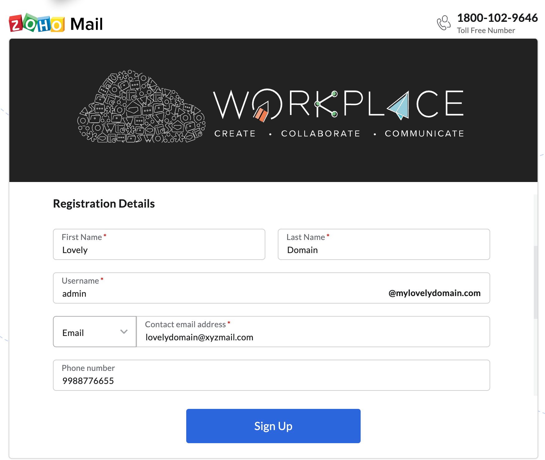 Details for registering domain
