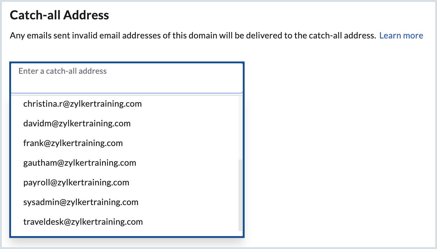 Enter a catch-all address