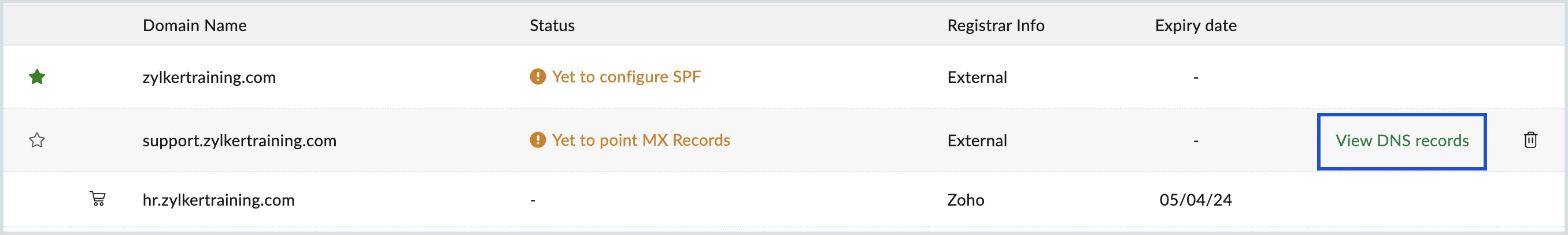 view dns records