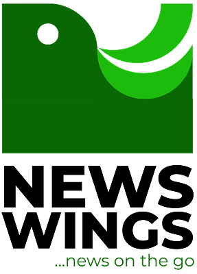 NewsWings