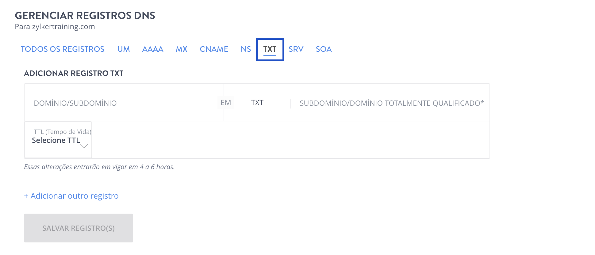 Adicionar o registro TXT na página de registro DNS