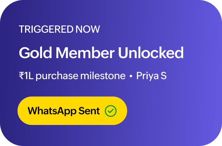 Launch high-impact campaigns in minutes