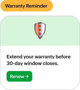 Campaigns driven by data — not guesswork