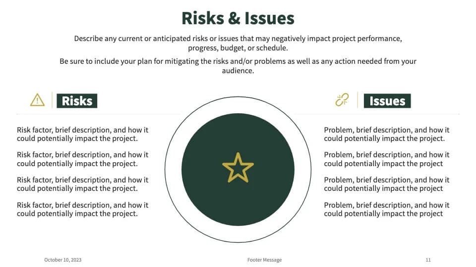 Risk and issues