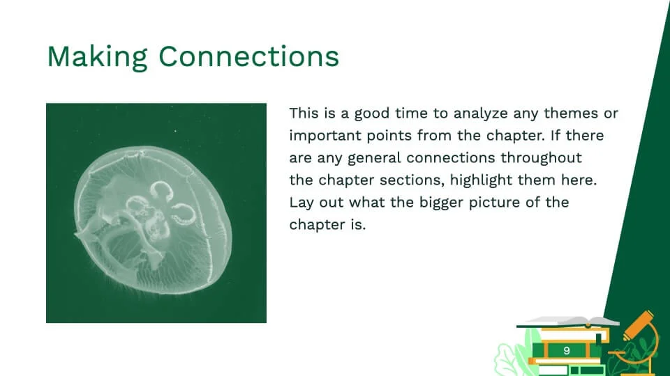 Making Connections