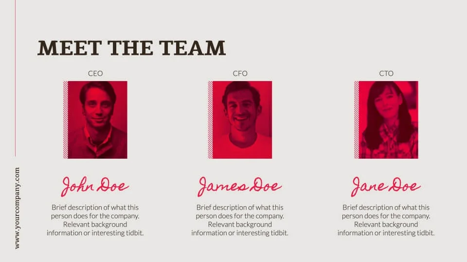 Meet the Team