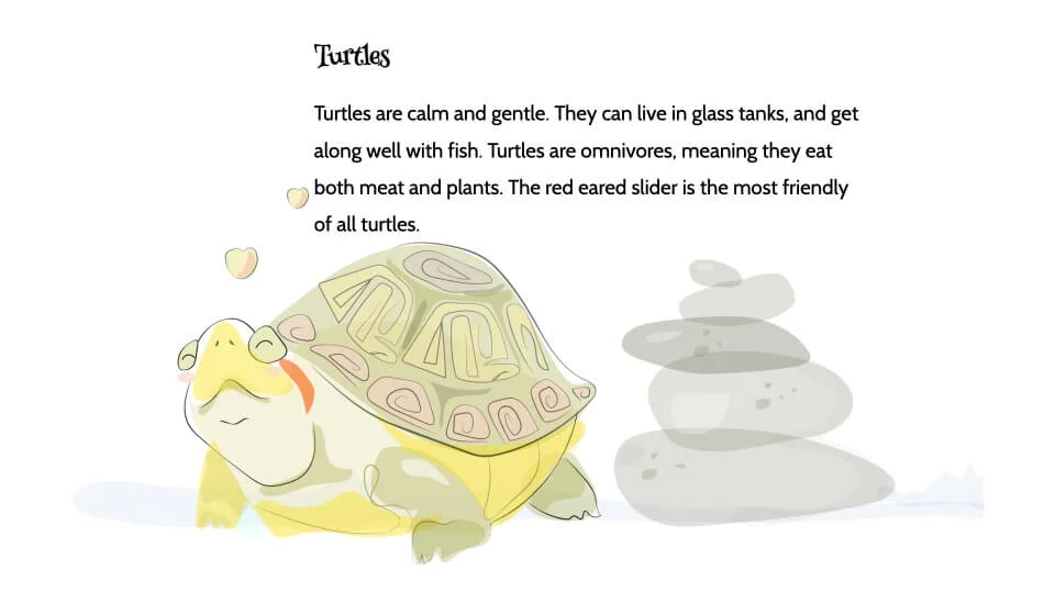 Turtle