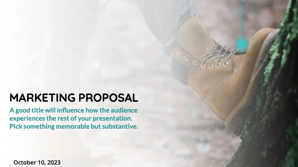 Meeting Proposal