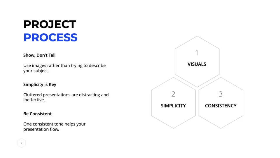 Project process
