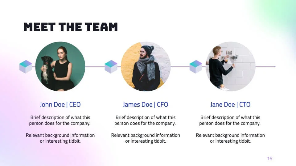 Meet the Team