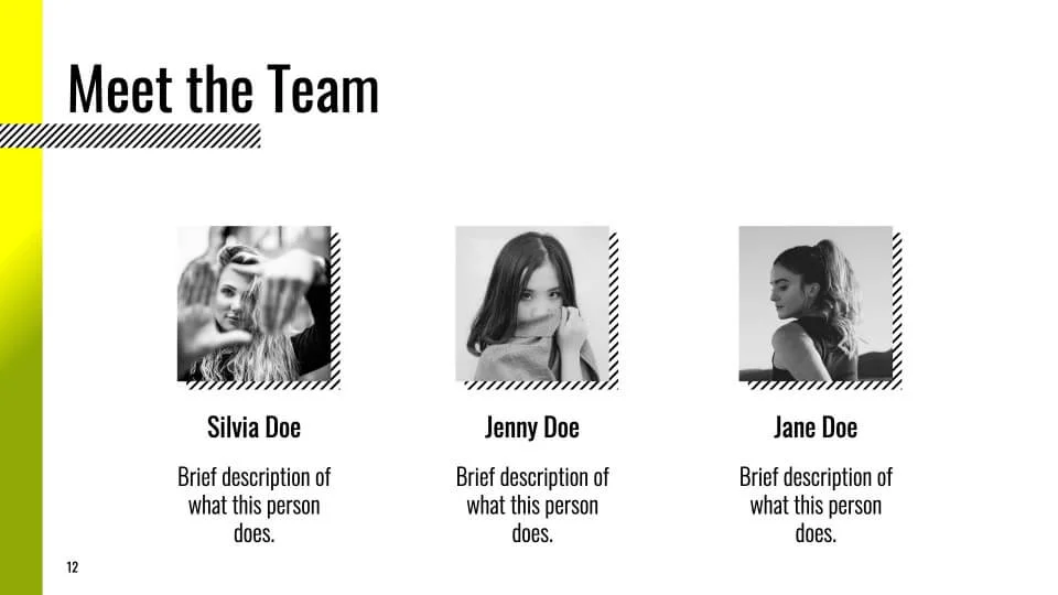 Meet the Team