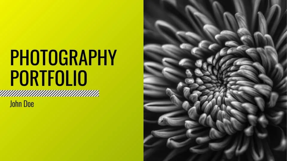 Arts Portfolio