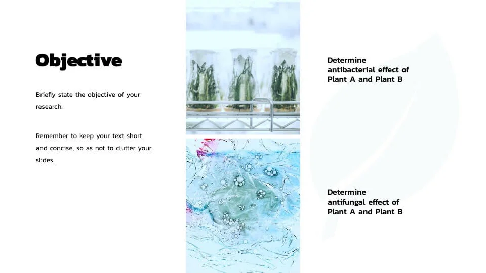 Objective