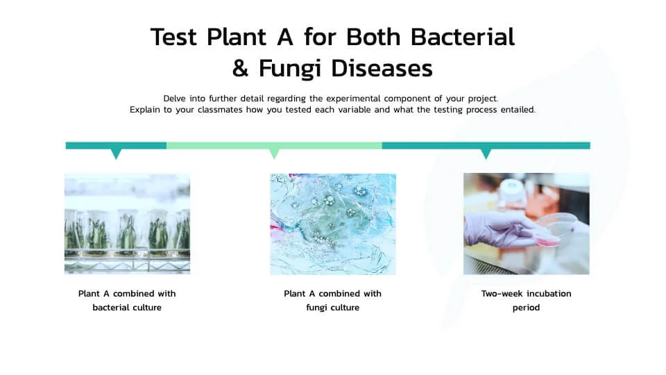 Test Plant