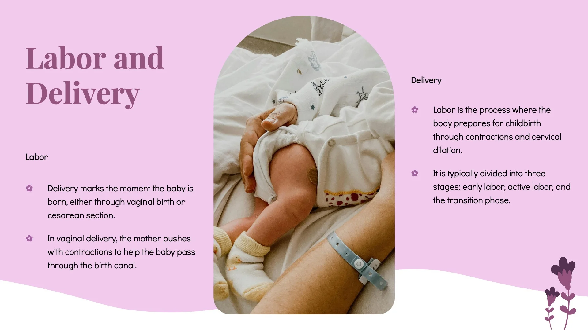 Women's Presentation Template