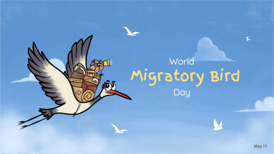 Safer internet day