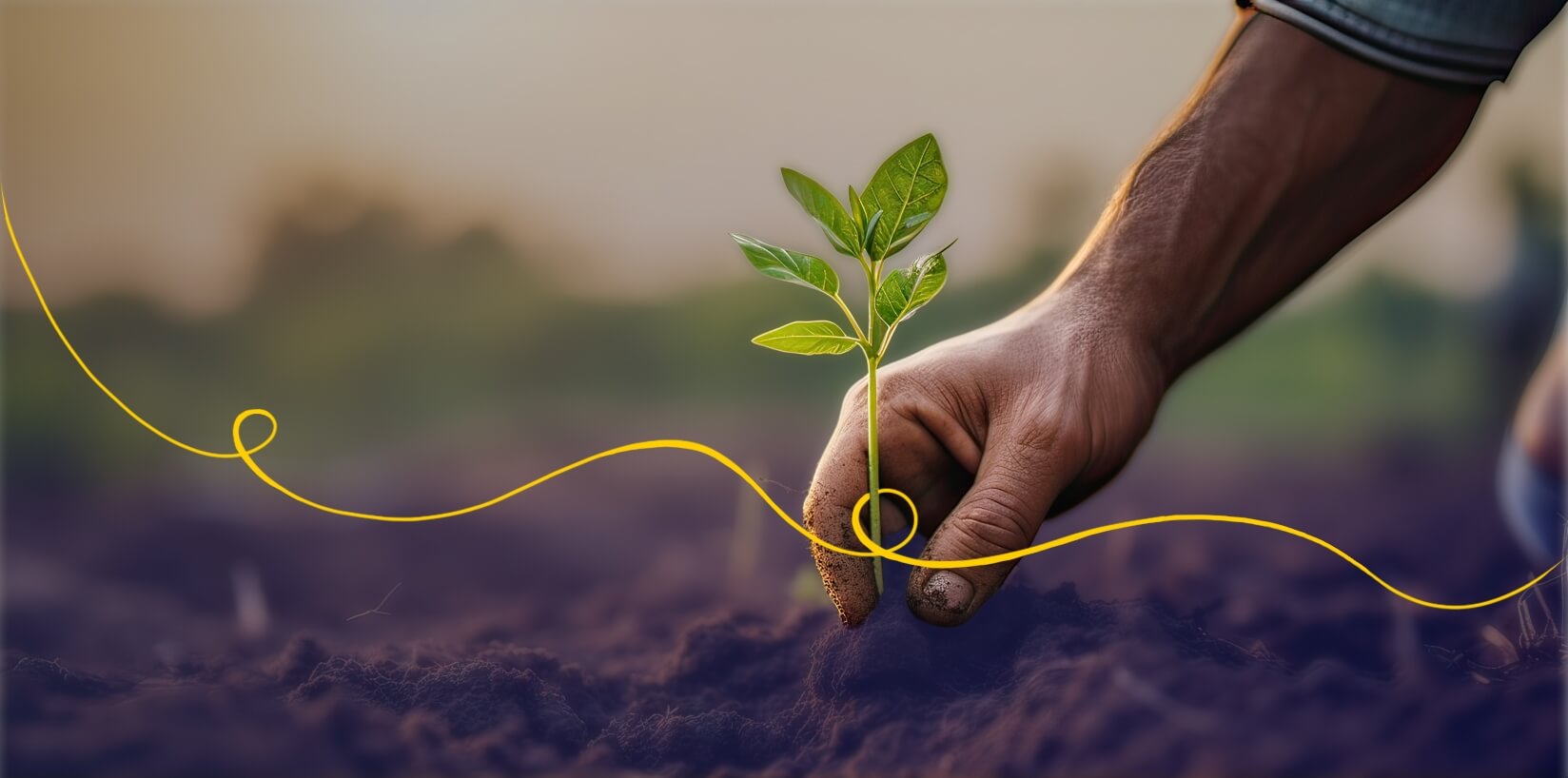 Sustainable agriculture and giving back to roots