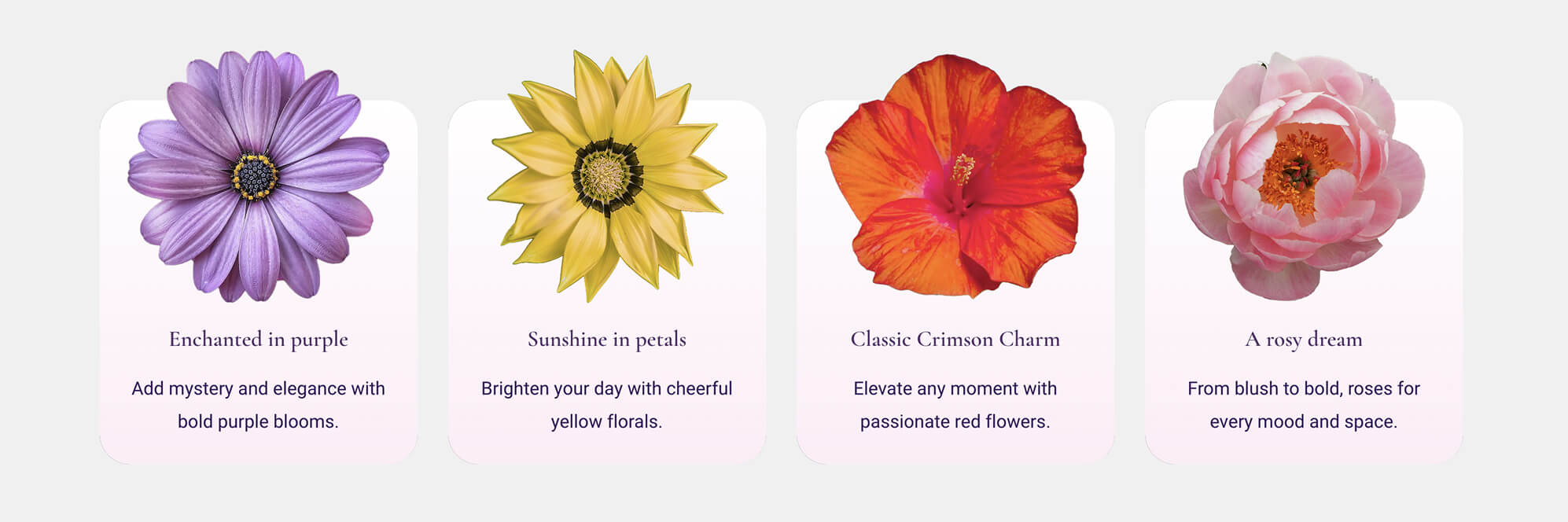 Portfolio websites: Showcasing talent and craft