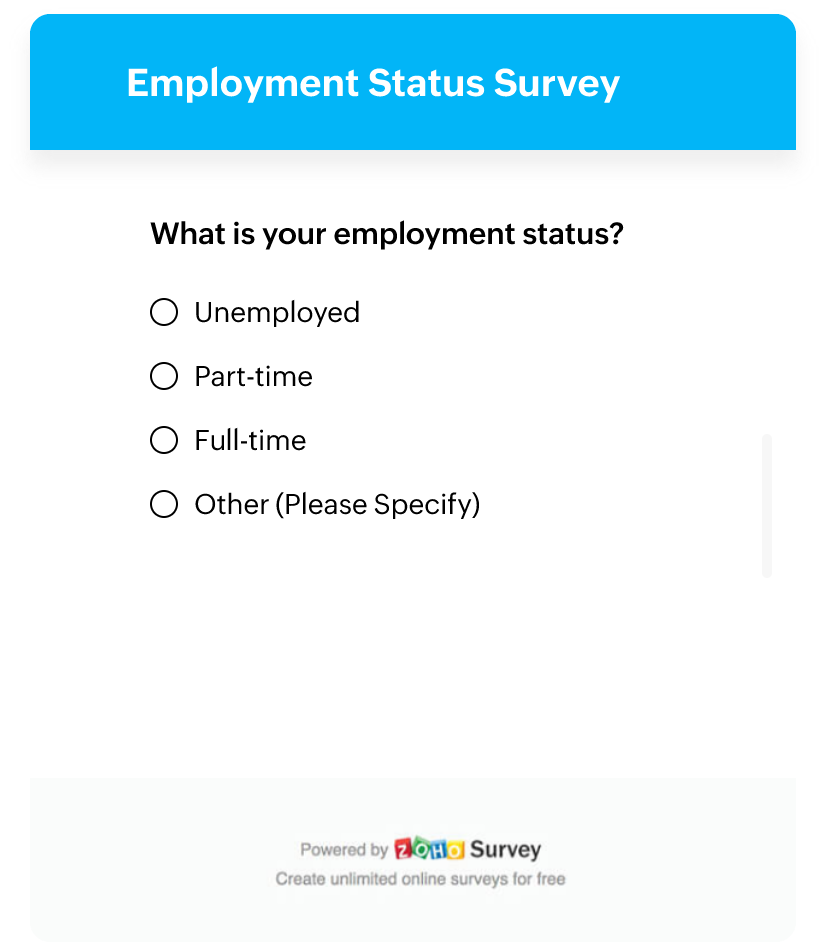 Employment Status Survey Questionnaire Template