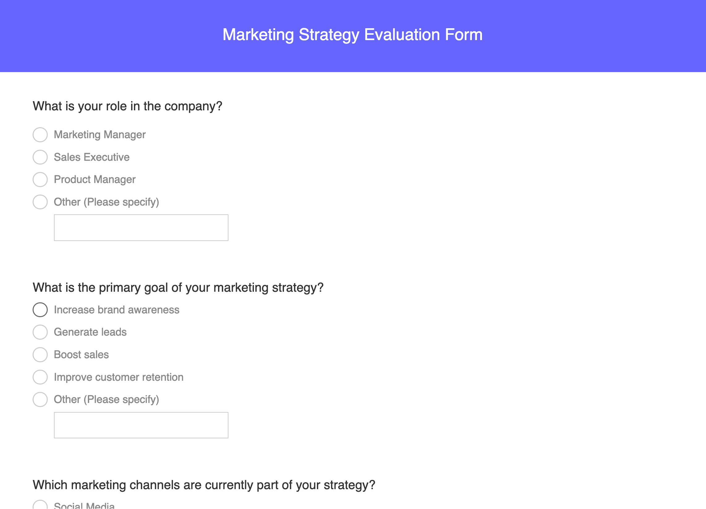Marketing strategy evaluation form