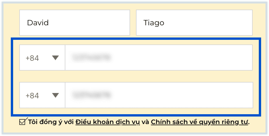 phone-info