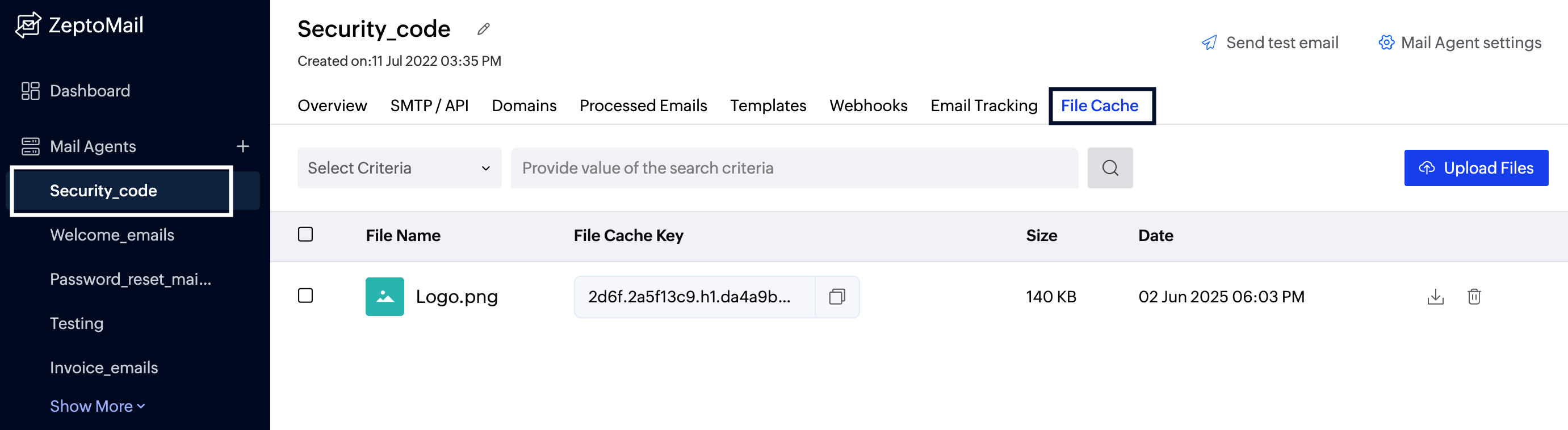 File cache section screenshot