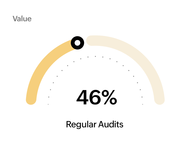 Regular Audits 46%