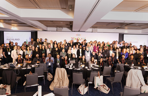 The past Zoholics experience